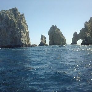 Meet your Posher, Darlene